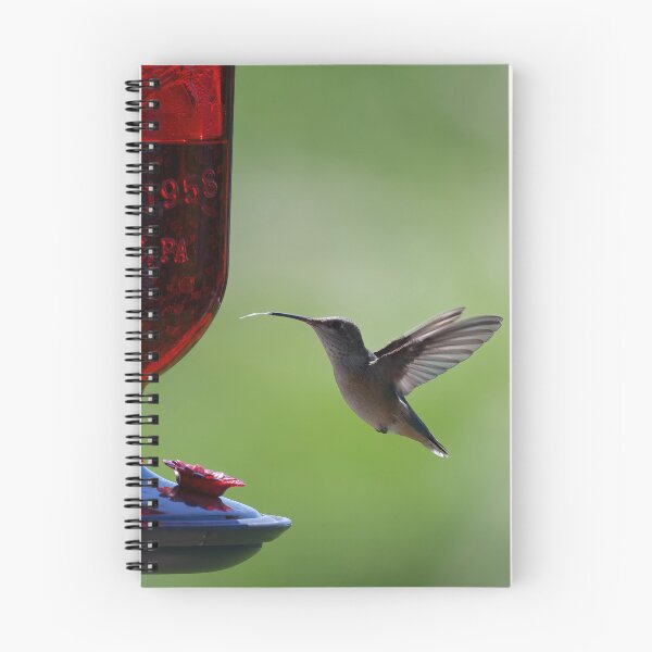 Item preview, Hummingbird at feeder  designed and sold by Cblifeisgood.