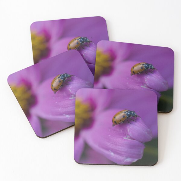 Artikelvorschau, Ladybug on petal entworfen und verkauft von Cblifeisgood.
