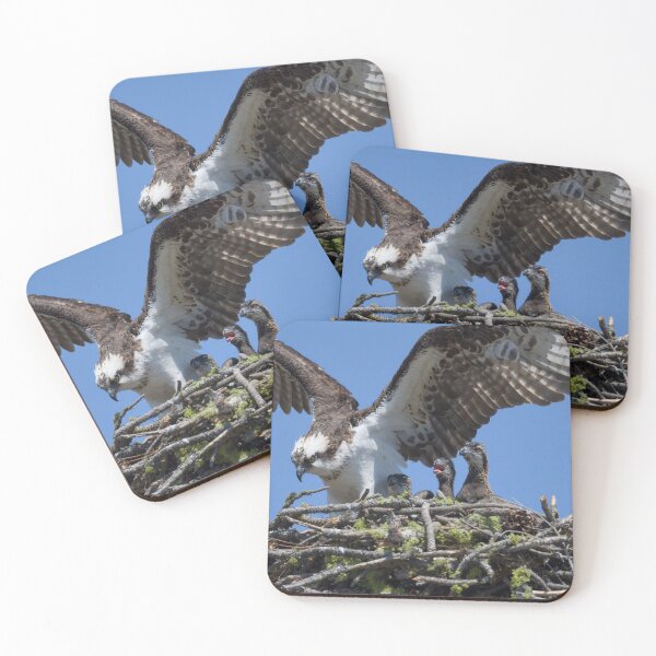 Item preview, Osprey and little ones designed and sold by Cblifeisgood.