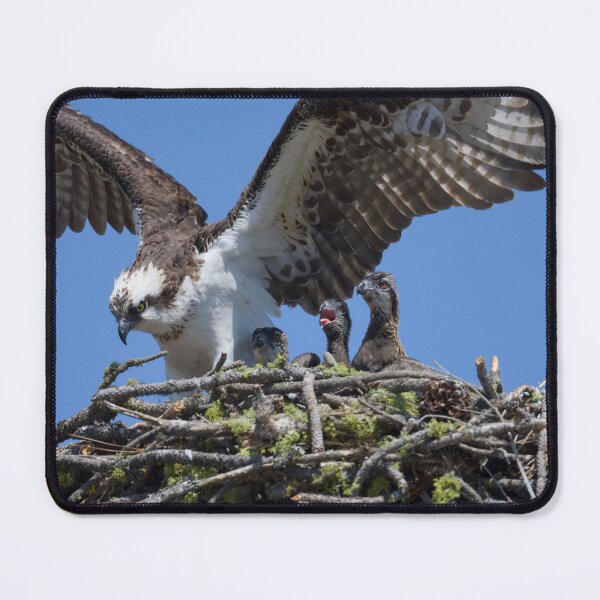 Item preview, Osprey and little ones designed and sold by Cblifeisgood.