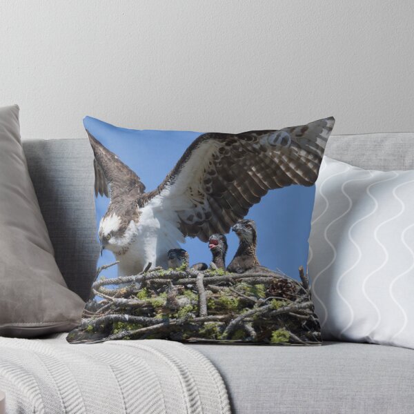 Item preview, Osprey and little ones designed and sold by Cblifeisgood.