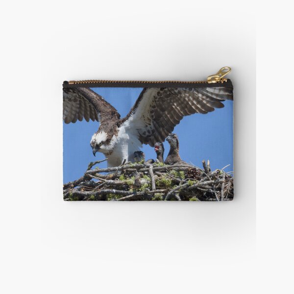 Item preview, Osprey and little ones designed and sold by Cblifeisgood.