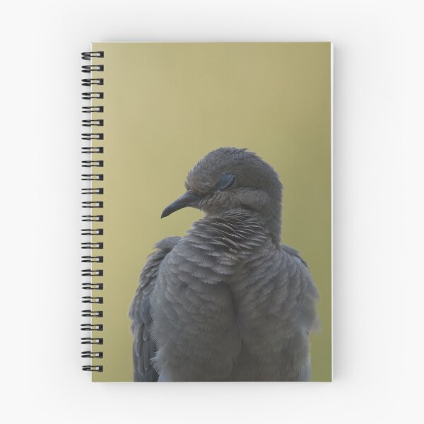 Item preview, Mourning dove designed and sold by Cblifeisgood.