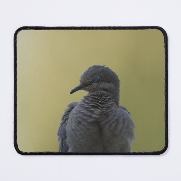 Item preview, Mourning dove designed and sold by Cblifeisgood.
