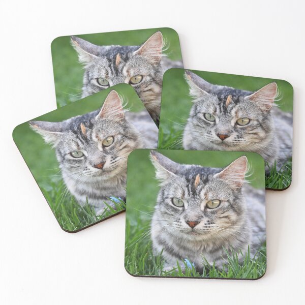 Item preview, Gray cat with spots, lying on the grass designed and sold by bagiolita.