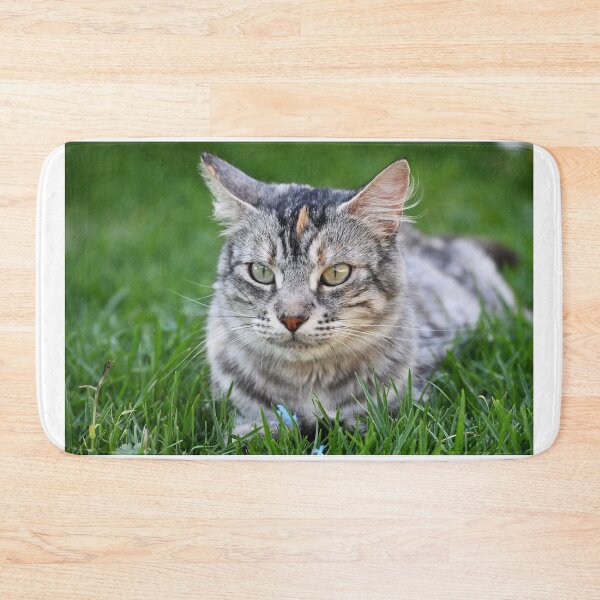Item preview, Gray cat with spots, lying on the grass designed and sold by bagiolita.