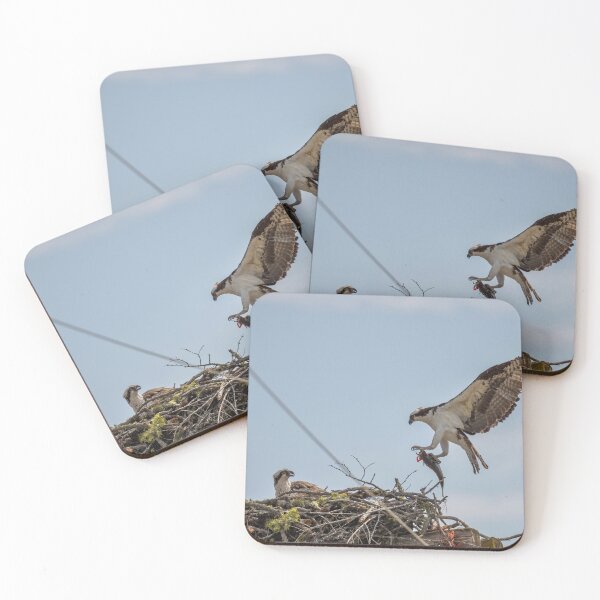 Item preview, Osprey bringing fish designed and sold by Cblifeisgood.