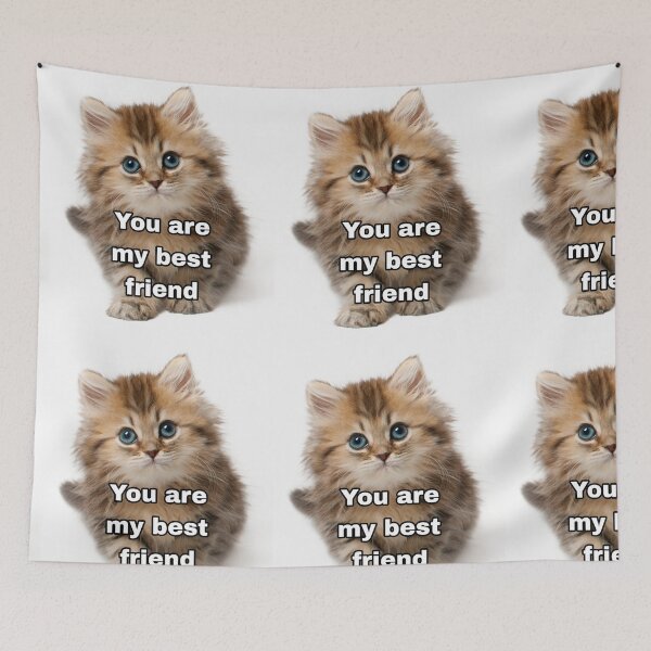 Item preview, Small Kitten says You are my best friend designed and sold by mando24895.