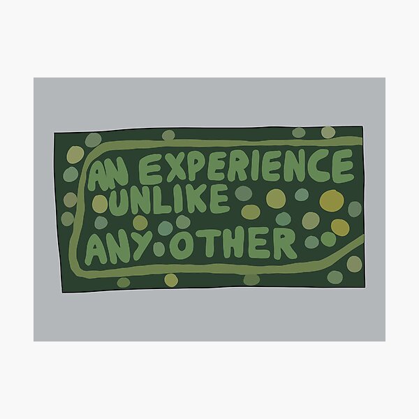 Item preview, An Experience Unlike Any Other designed and sold by thebcarts.