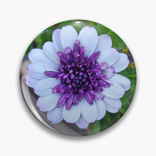Item preview,  Purple on Purple designed and sold by Kat Simmons.