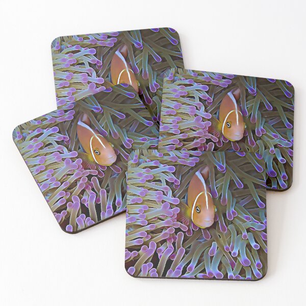 Item preview, Pink Anemonefish designed and sold by OceanVentures.