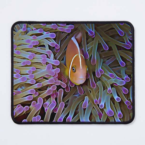 Item preview, Pink Anemonefish designed and sold by OceanVentures.