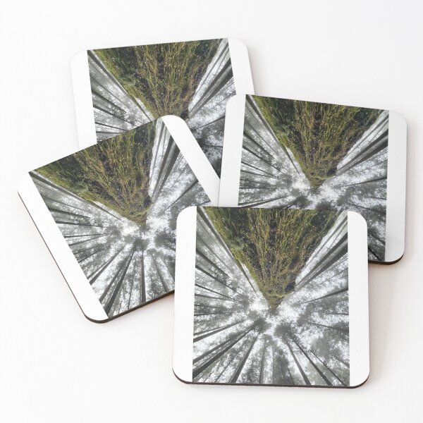 Item preview, Tall Trees During West Coast Winter designed and sold by Suncoast-Snaps.
