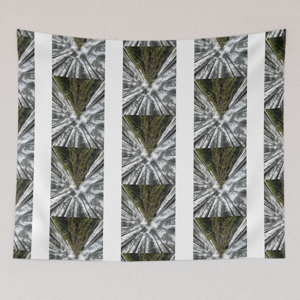 Item preview, Tall Trees During West Coast Winter designed and sold by Suncoast-Snaps.