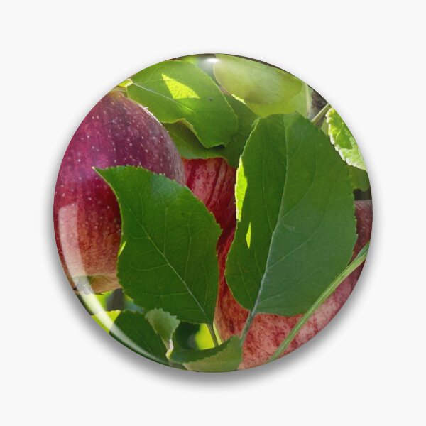 Item preview, Harvest Time in New York State Apple Orchard designed and sold by KolconBlue.