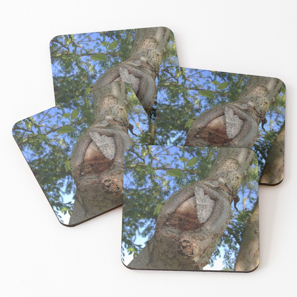 Item preview, Coasters (Set of 4) designed and sold by lopsidedturtle.