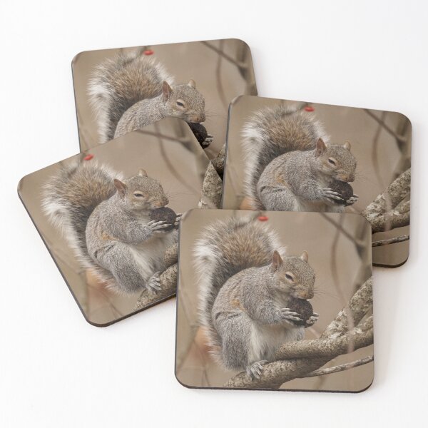 Item preview, Squirrel Glutton for Walnuts designed and sold by gobygal.