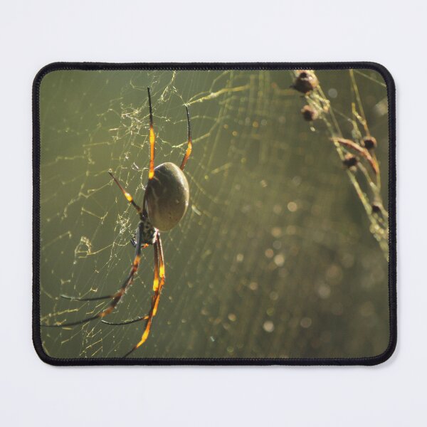 Item preview, Golden spider designed and sold by Jake-innature.