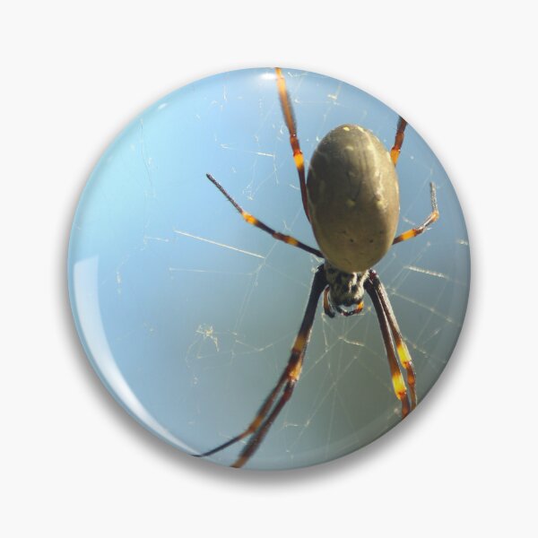 Item preview, Orb Weaver designed and sold by Jake-innature.