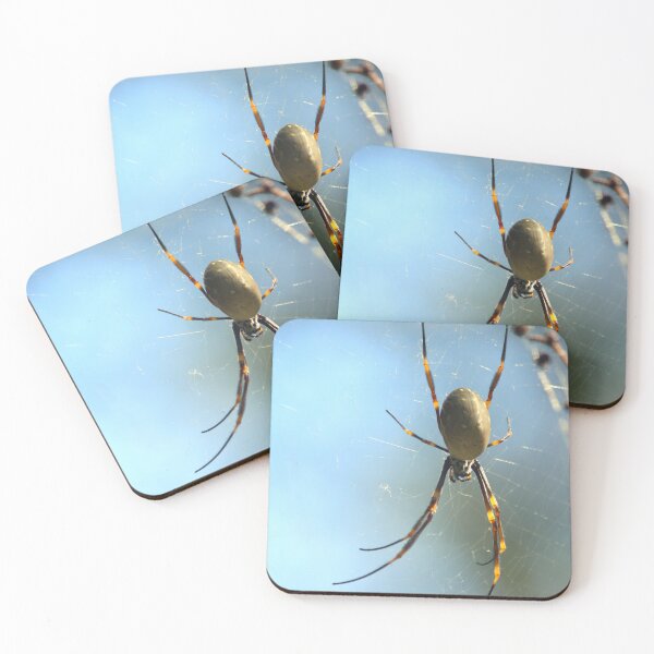 Item preview, Orb Weaver designed and sold by Jake-innature.