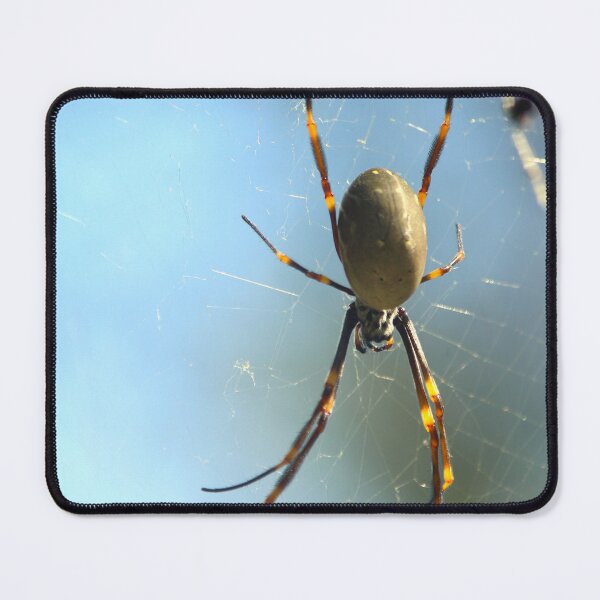 Item preview, Orb Weaver designed and sold by Jake-innature.