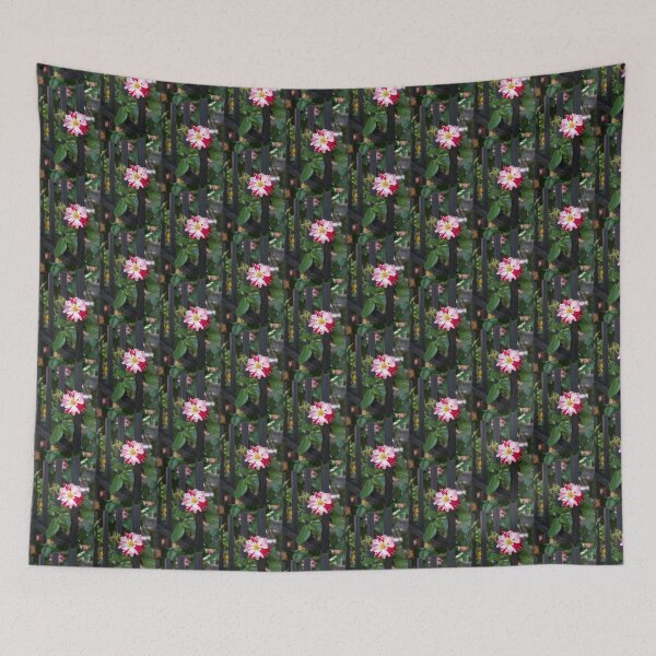 Item preview, One Unusual Rose Bloom with Variegated Petals designed and sold by Georgia Mizuleva.