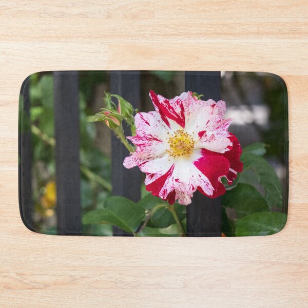 Item preview, One Unusual Rose Bloom with Variegated Petals designed and sold by Georgia Mizuleva.