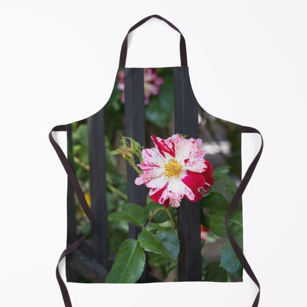 Item preview, One Unusual Rose Bloom with Variegated Petals designed and sold by Georgia Mizuleva.
