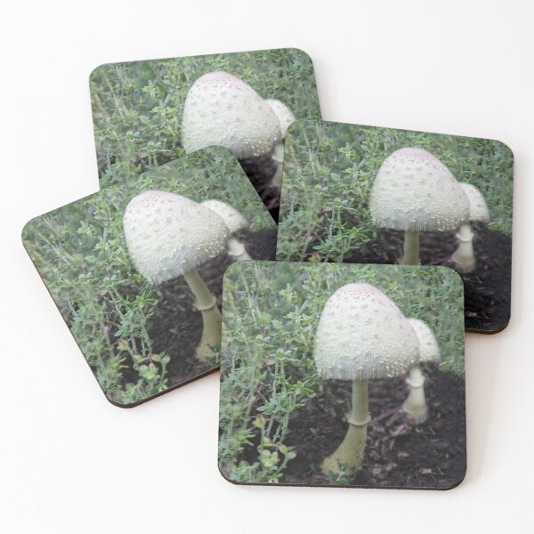 Item preview, Two 'Shrooms designed and sold by heatherfriedman.