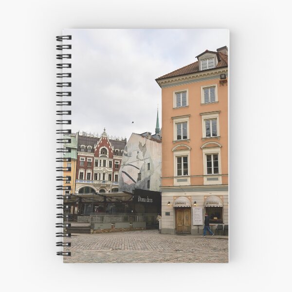 Item preview, One pigeon. Riga 2024 designed and sold by Jouko Lehto Photography.