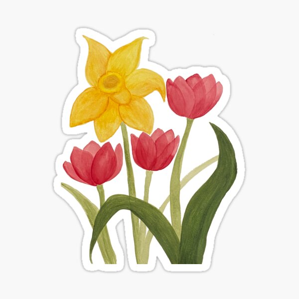 Three Pink Tulips and a Daffodil Sticker