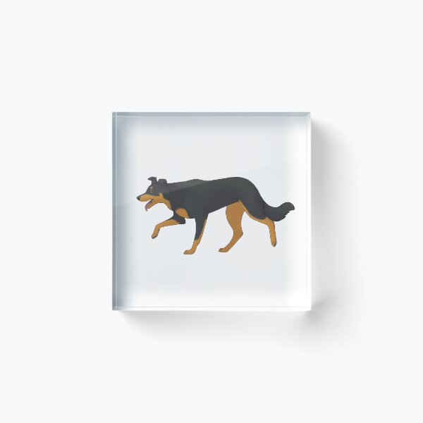 Item preview, Border Collie herding black and tan designed and sold by Cynthiaetal.