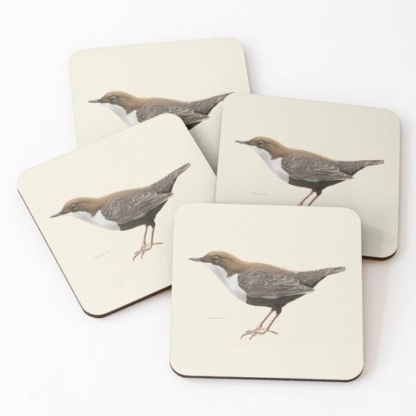 Item preview, Dipper bird  designed and sold by AnyaYasinska.
