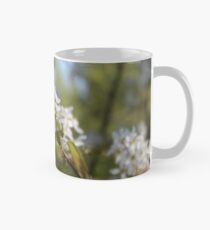 White Flower Close Up Mug