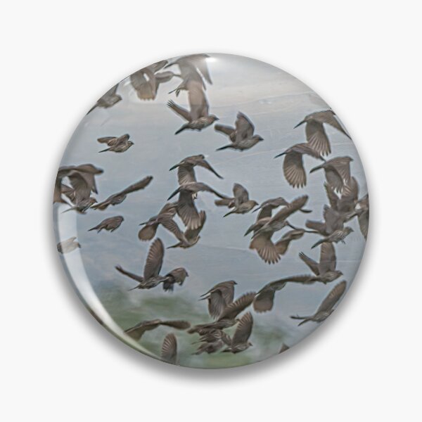 Item preview, Scattering of Blackbirds designed and sold by Debra Martz.