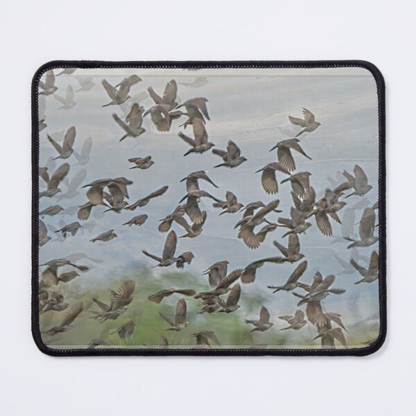 Item preview, Scattering of Blackbirds designed and sold by Debra Martz.