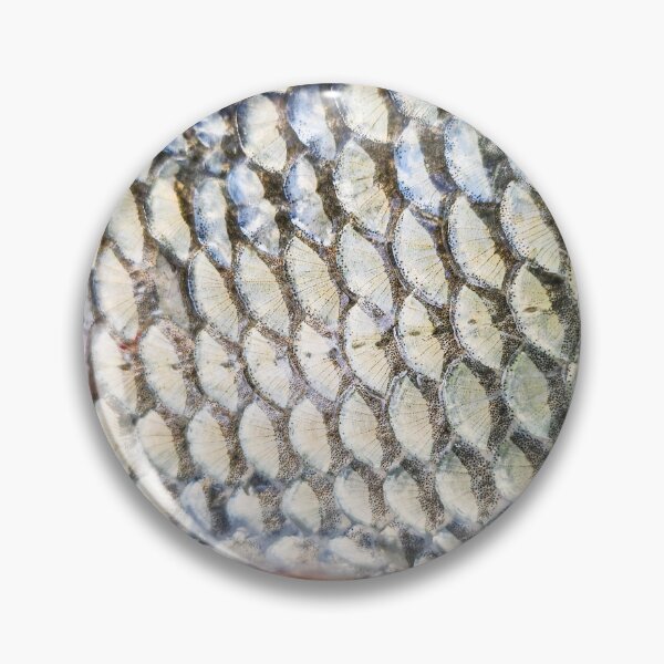Item preview, Chub fish, catch and release fishing, photo designed and sold by mary02.