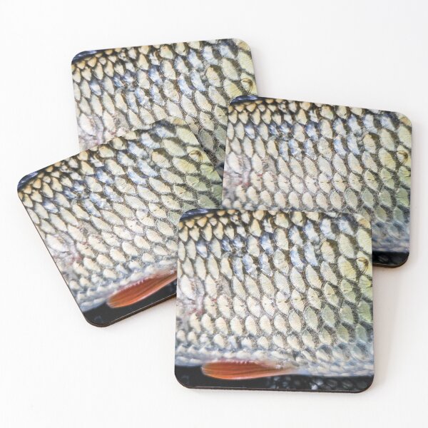 Item preview, Chub fish, catch and release fishing, photo designed and sold by mary02.
