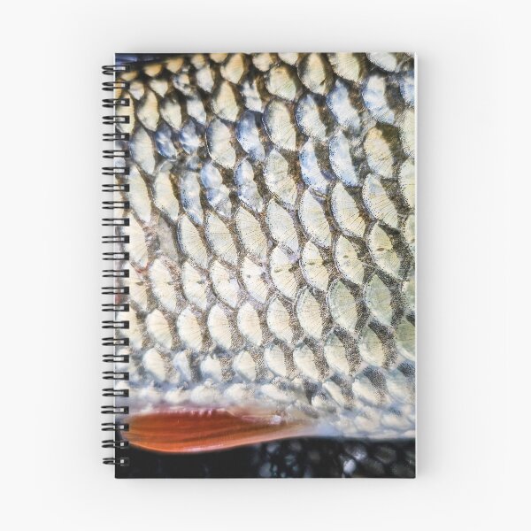 Item preview, Chub fish, catch and release fishing, photo designed and sold by mary02.