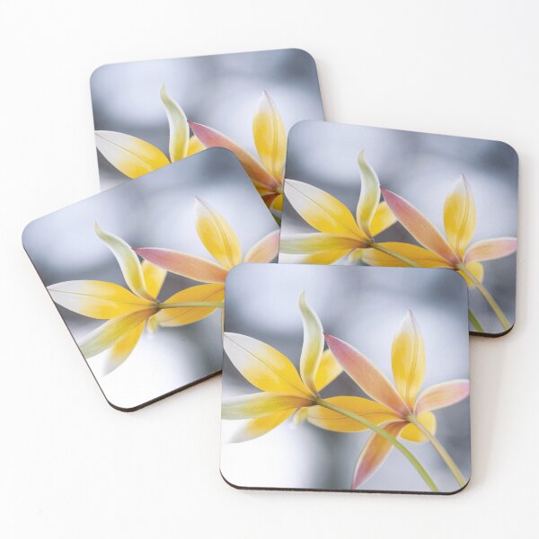Artikelvorschau, Gelbe botanische Tulpen. entworfen und verkauft von Catrinann.