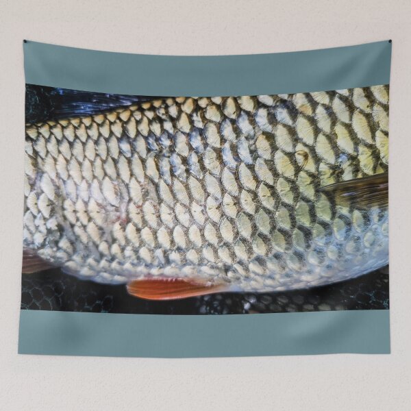 Item preview, Chub fish, catch and release fishing, photo designed and sold by mary02.