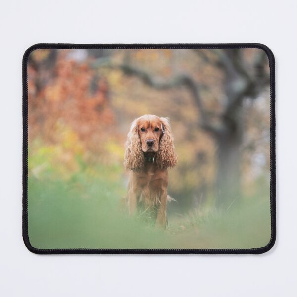 Item preview, Cocker spaniel in the forest, autumn designed and sold by Elżbieta  Kaps.