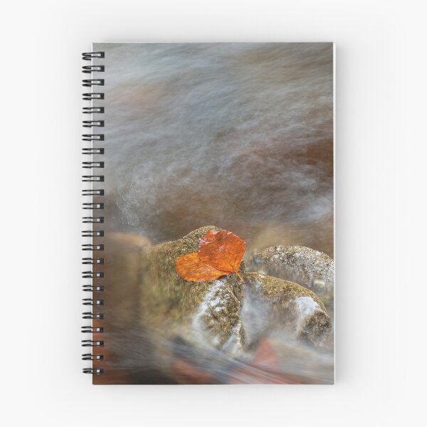 Artikelvorschau, Wasserfall im Wald im Herbst entworfen und verkauft von Elżbieta Kaps.