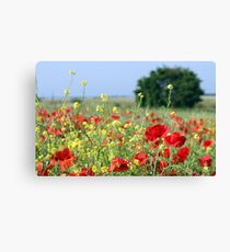 spring meadow with wild flowers and tree Canvas Print