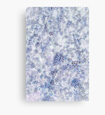 Blue Blossom Canvas Print