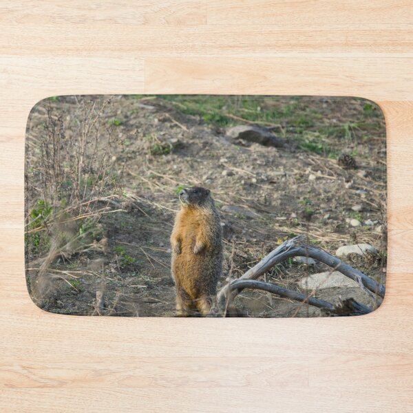 Item preview, Yellow bellied Marmot designed and sold by Cblifeisgood.