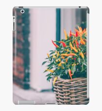 Spicy red pepper in a pot grows outdoors iPad Case/Skin