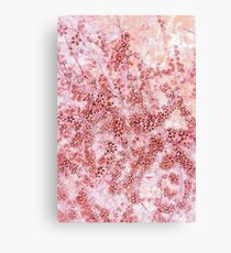 Orange Blossom Canvas Print