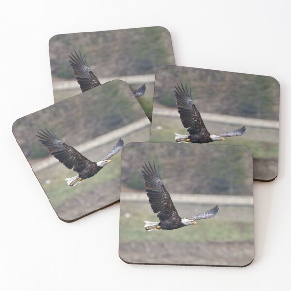 Artikelvorschau, Bald Eagle in flight entworfen und verkauft von Cblifeisgood.