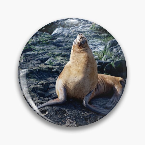 Item preview, Sammy the sealion designed and sold by stevepaint.